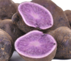 patviola